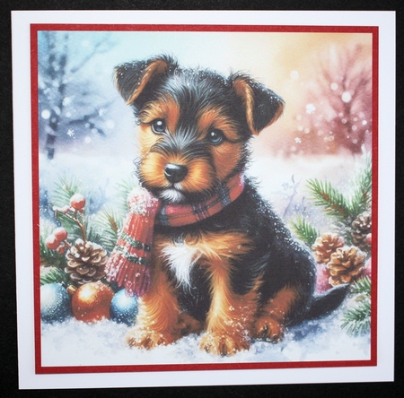 Merry Christmas Pups 2 by Marion Kimberley-Scott