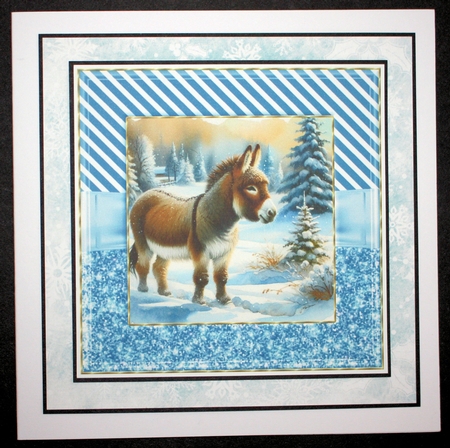3 Blue frames Christmas donkey card fronts 2 by Marion Kimberley-Scott