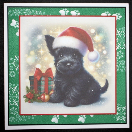 Santa Hat Pups 7 by Marion Kimberley-Scott