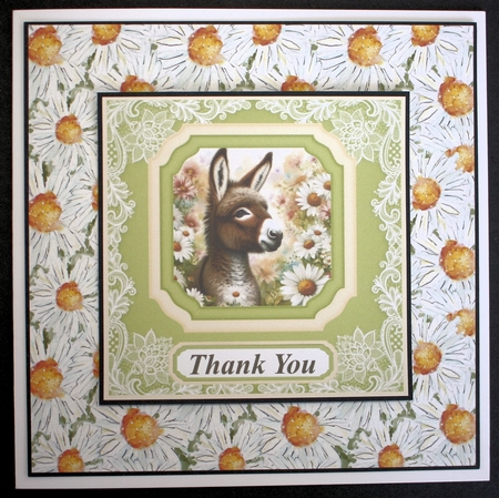 Daisy donkey card front 1  by Marion Kimberley-Scott