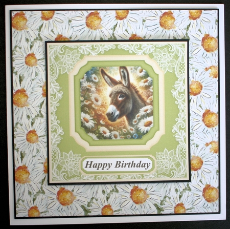 Daisy donkey card front 2 by Marion Kimberley-Scott