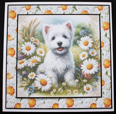 Daisy Meadow Pups 7 by Marion Kimberley-Scott