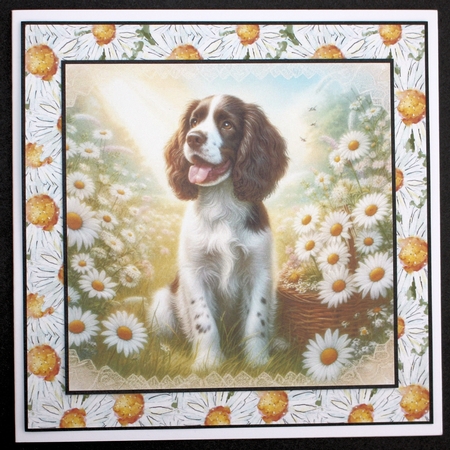 Daisy Meadow Pups 11 by Marion Kimberley-Scott