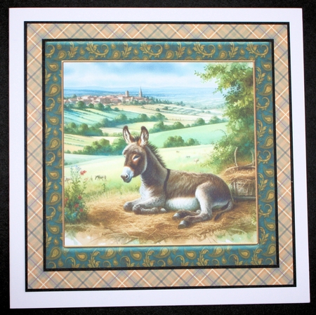Framed donkey card front kit by Marion Kimberley-Scott