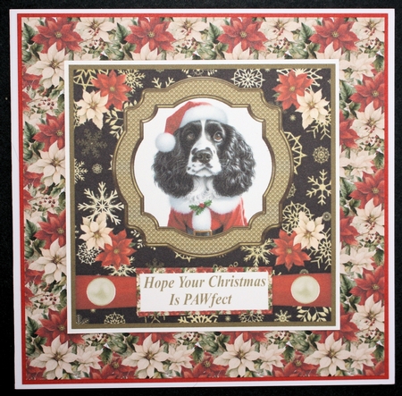 Black and white Springer Spaniel Santa card front by Marion Kimberley-Scott