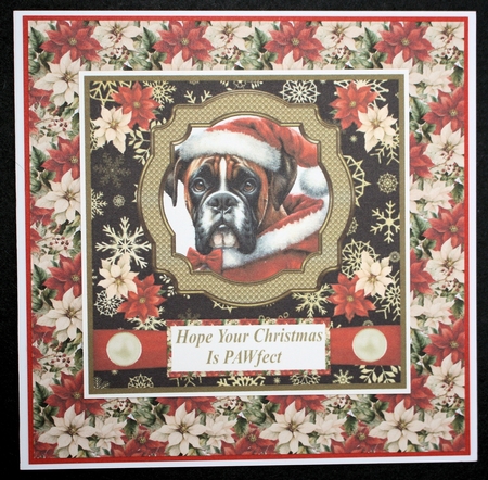 Boxer Santa card front by Marion Kimberley-Scott
