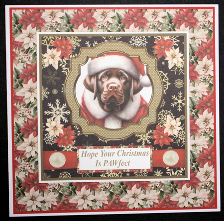 Chocolate Labrador Santa card front by Marion Kimberley-Scott