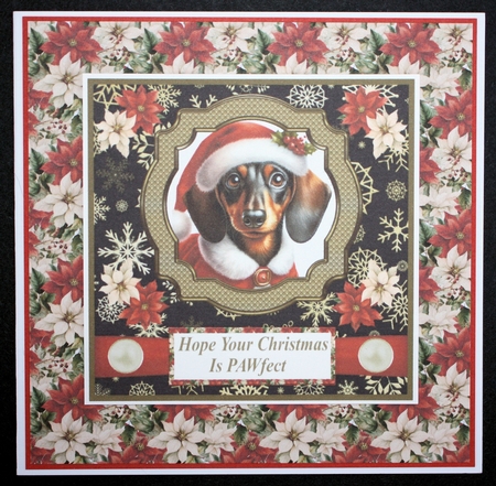Dachshund Santa card front by Marion Kimberley-Scott