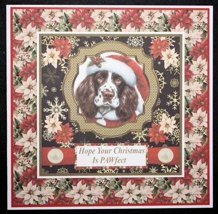 Liver and white Springer Spaniel Santa card front by Marion Kimberley-Scott