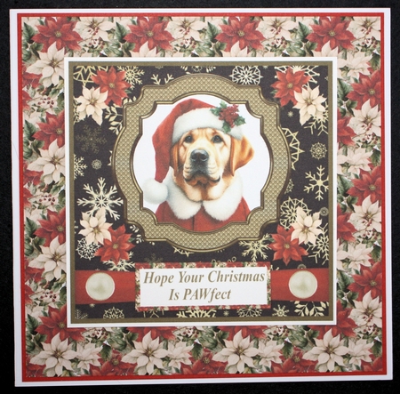 Yellow Labrador Santa card front by Marion Kimberley-Scott