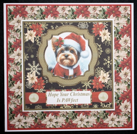 Yorkie Santa card front by Marion Kimberley-Scott
