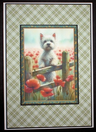 2 Poppy Westie card fronts by Marion Kimberley-Scott