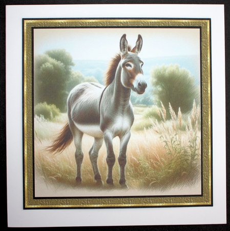 Donkey Portraits by Marion Kimberley-Scott