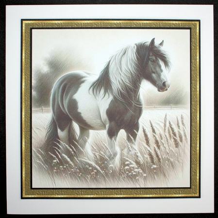 Horse Portraits 2 by Marion Kimberley-Scott