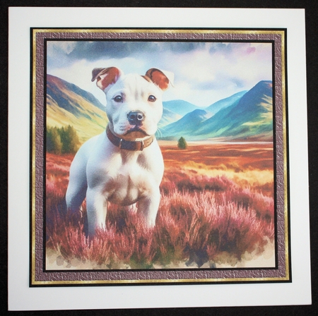 Highland Walk  Pups 5 by Marion Kimberley-Scott