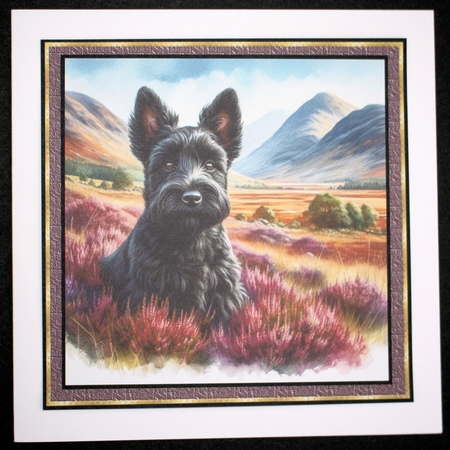 Highland Walk  Pups 9 by Marion Kimberley-Scott