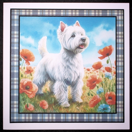 Poppy Field Dogs 9 by Marion Kimberley-Scott