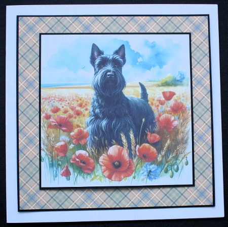 Poppy Field Dogs 10 by Marion Kimberley-Scott