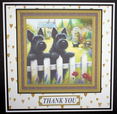 Scotties at the fence card front 4 by Marion Kimberley-Scott