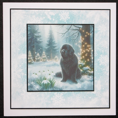 Winter Snowdrop Forest Dogs 1 by Marion Kimberley-Scott