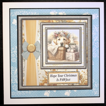 Hope your Christmas is Pawfect card front 6 by Marion Kimberley-Scott