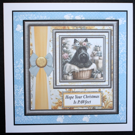 Hope your Christmas is Pawfect card front 11 by Marion Kimberley-Scott