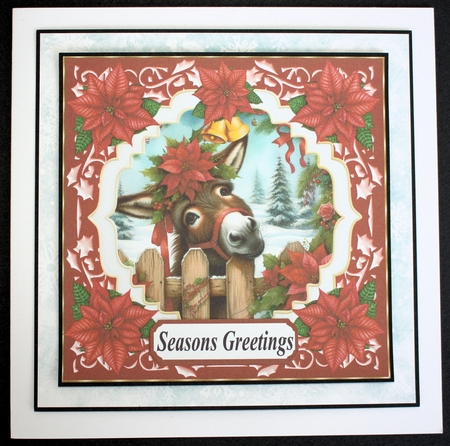 Christmas poinsettia donkey card front 1 by Marion Kimberley-Scott