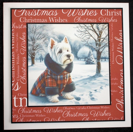 Winter Country Park  Dogs 16 by Marion Kimberley-Scott
