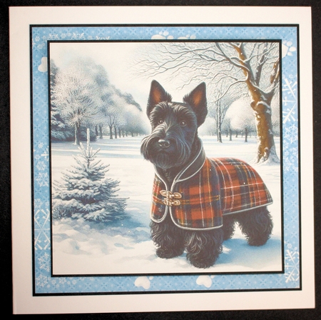 Winter Country Park  Dogs 17 by Marion Kimberley-Scott
