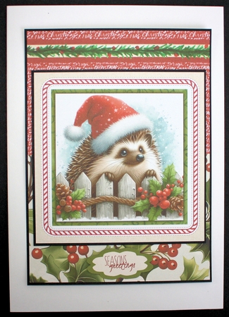 Christmas Hedgehogs by Marion Kimberley-Scott