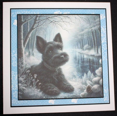 Winter Pond Pups 11 by Marion Kimberley-Scott