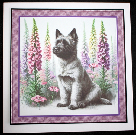 Petals and Paws  2 by Marion Kimberley-Scott