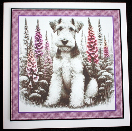 Petals and Paws  3 by Marion Kimberley-Scott