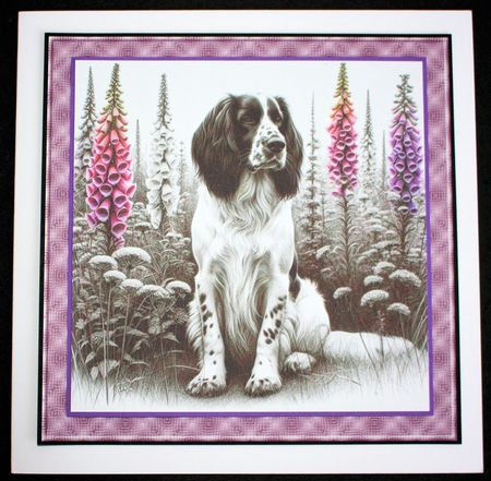 Petals and Paws 6 by Marion Kimberley-Scott