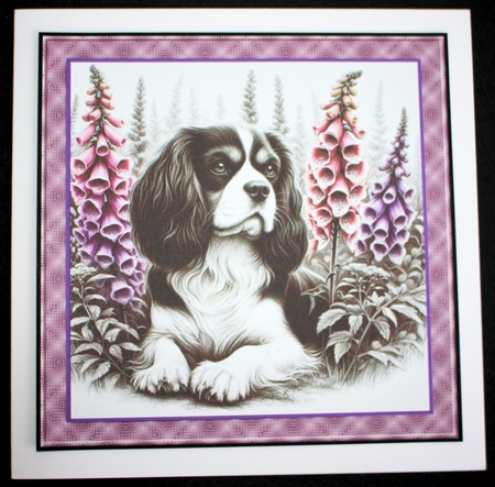 Petals and Paws 9 by Marion Kimberley-Scott