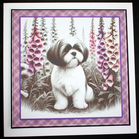 Petals and Paws 10 by Marion Kimberley-Scott