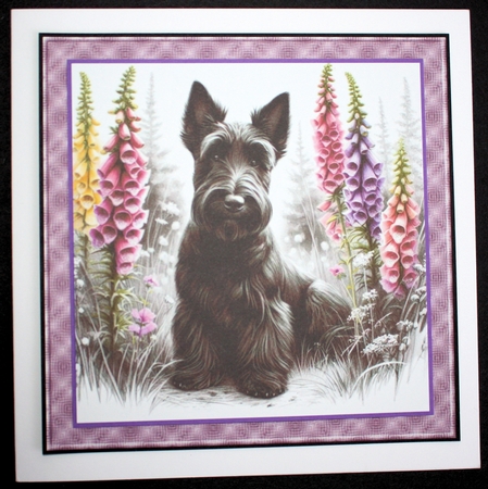 Petals and Paws 12 by Marion Kimberley-Scott