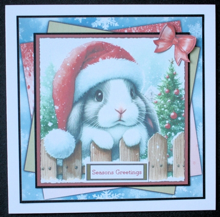 Some Bunny Loves You by Marion Kimberley-Scott