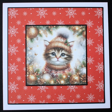 Festive Sweater Kitten  by Marion Kimberley-Scott