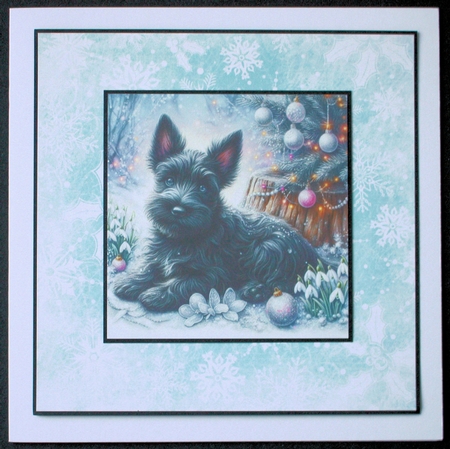 Frosty Snow Drops And Furry Friends 12 by Marion Kimberley-Scott