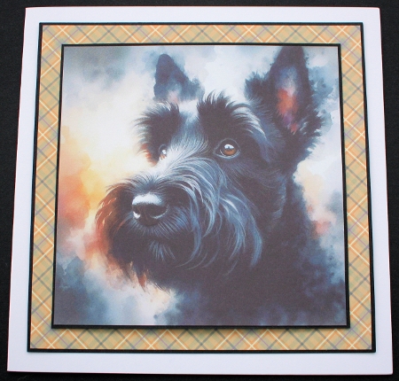 Pawfect Portraits 11 by Marion Kimberley-Scott