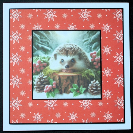 Winter Hedgehogs Mini Kit (Christmas Or Winter Birthday) by Marion Kimberley-Scott