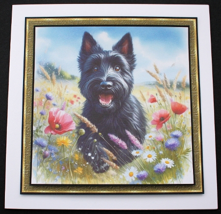 Happy Meadow Dogs 11 by Marion Kimberley-Scott
