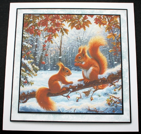 Winter Berry Squirrel  by Marion Kimberley-Scott