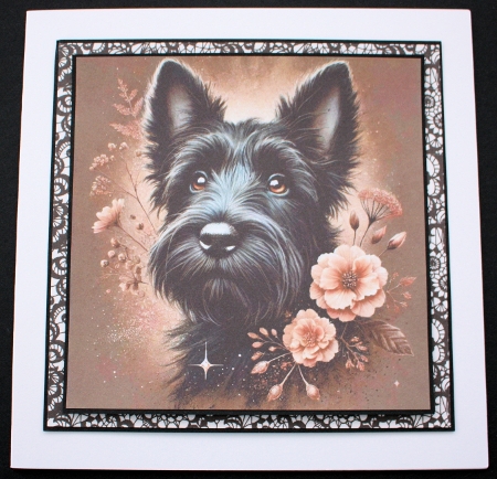 Peach Fizz Pups 12 by Marion Kimberley-Scott