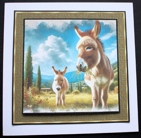 Garden Donkey  by Marion Kimberley-Scott