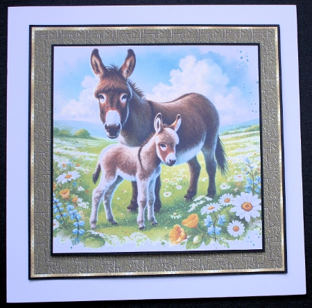 Mama Donkey by Marion Kimberley-Scott