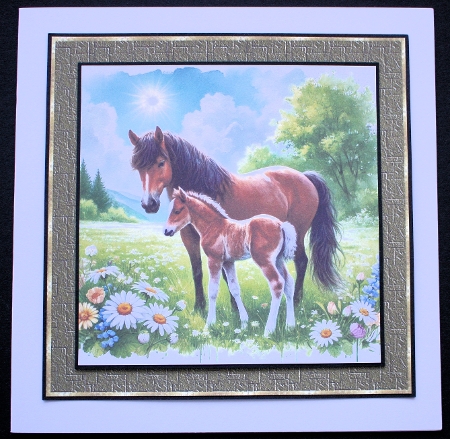 Mama Horse by Marion Kimberley-Scott