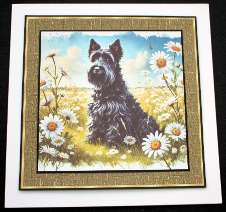 Daisy Dream Dogs 11 by Marion Kimberley-Scott