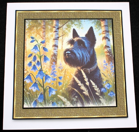 Birchwood Pups 11 by Marion Kimberley-Scott